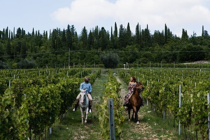 4 Wines & 2 Olive Oils Tasting in Chianti Winery with Tour - Two olive oils and six pieces of Tuscan bread