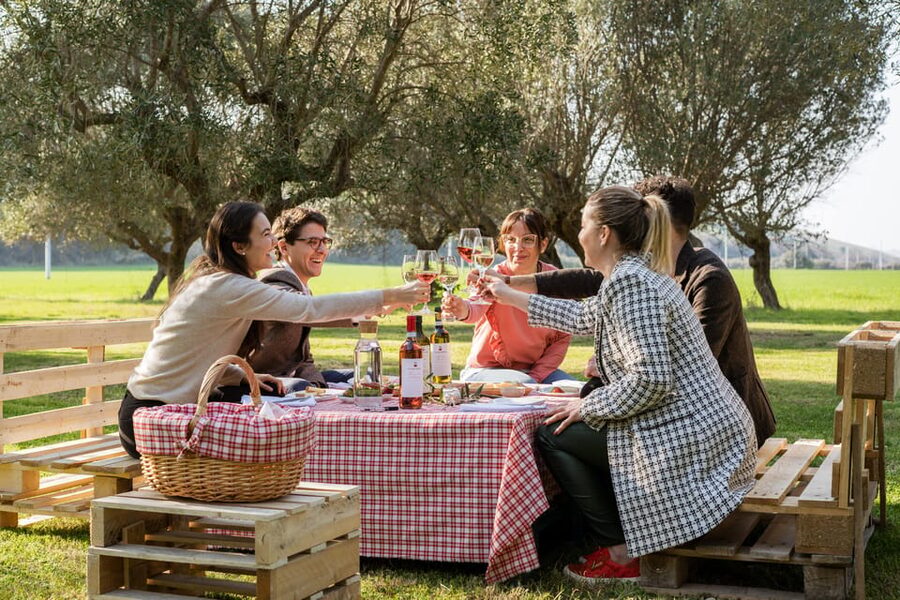 Abruzzo: Country Picnic in an Olive Grove at a Winery - Key points before you book