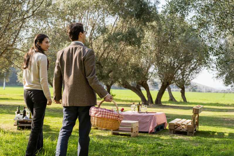 Abruzzo: Country Picnic in an Olive Grove at a Winery - What comes in the picnic basket