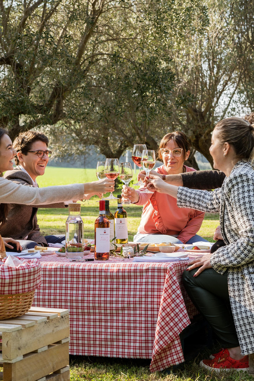 Abruzzo: Country Picnic in an Olive Grove at a Winery - Walking into the olive grove