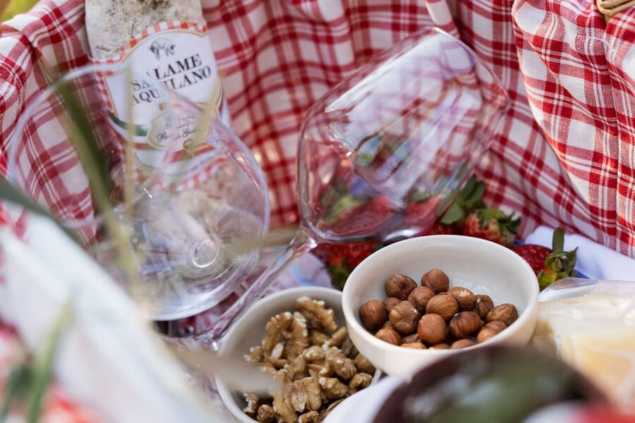 Abruzzo: Country Picnic in an Olive Grove at a Winery - What the strongest praise tells you