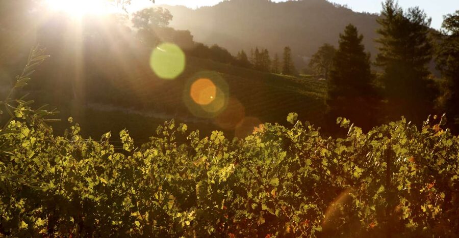 Afternoon: Tour Soap, Olive Oil, Wine Stories of Peza Valley - Sunset dinner at Peteinos Alianiaris Tavern