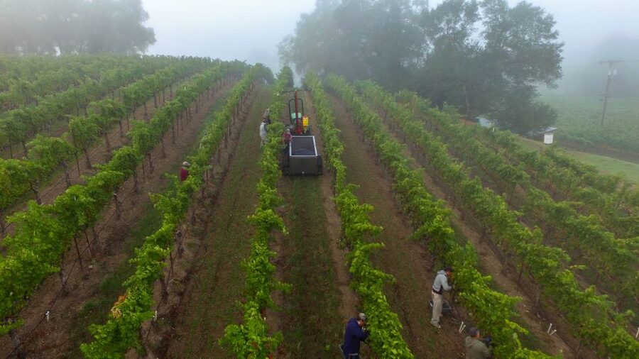 Afternoon: Tour Soap, Olive Oil, Wine Stories of Peza Valley - Walking, clothing, and timing