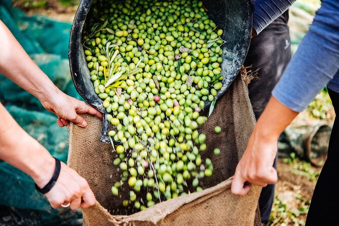 Afternoon Tour: Soap, Olive Oil & Wine Stories of Peza Village - Making olive oil soap with local herbs