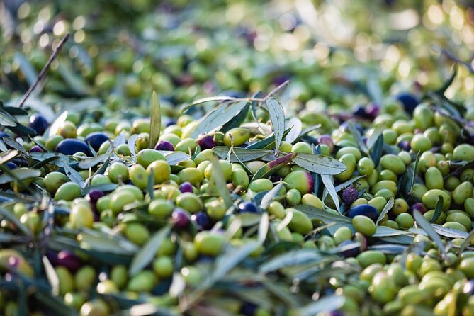 Afternoon Tour: Soap, Olive Oil & Wine Stories of Peza Village - Tasting Vidiano and Kotsifali in Peza Valley