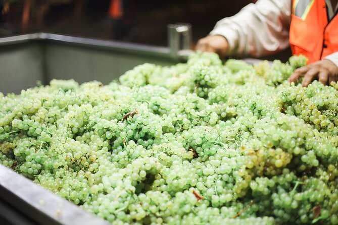 Afternoon Tour: Soap, Olive Oil & Wine Stories of Peza Village - Who will enjoy this afternoon most