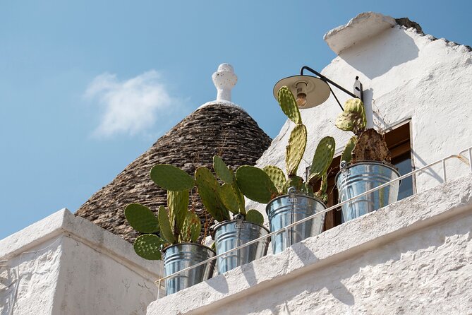 Alberobello : Group or Private Walking Tour & Olive Oil Tasting - Why Alberobello’s trulli deserve a guided walk