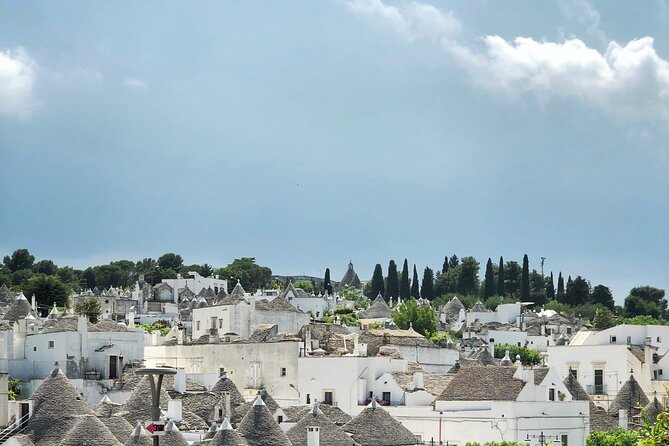 Alberobello : Group or Private Walking Tour & Olive Oil Tasting - The olive oil tasting with vinegar and taralli