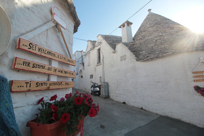 Alberobello : Group or Private Walking Tour & Olive Oil Tasting - Who will get the most from this Alberobello walk?