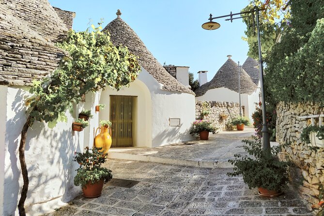 Alberobello : Group or Private Walking Tour & Olive Oil Tasting - The historic center and the authentic trullo