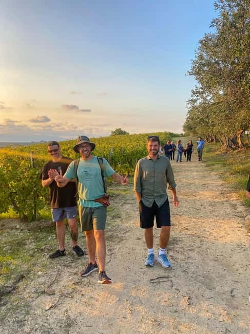 Alcamo: Natural Wine & Olive Oil Tasting - Sicily - What makes this Alcamo tasting worth your time