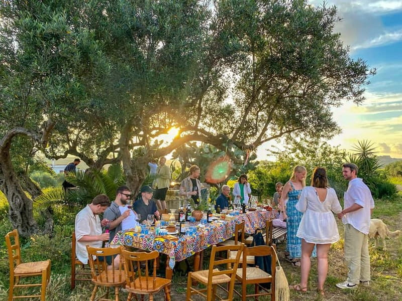 Alcamo: Natural Wine & Olive Oil Tasting - Sicily - Starting at the Alcamo farm
