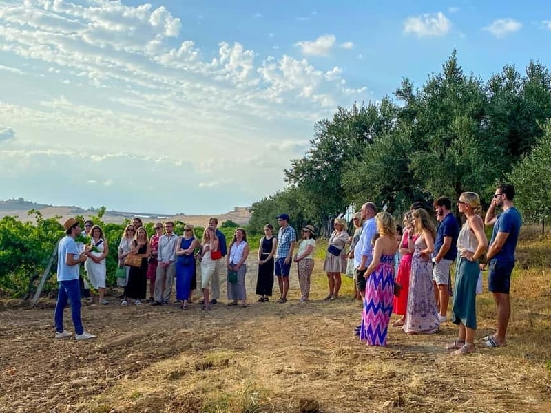 Alcamo: Natural Wine & Olive Oil Tasting - Sicily - The apiary and the role of honey