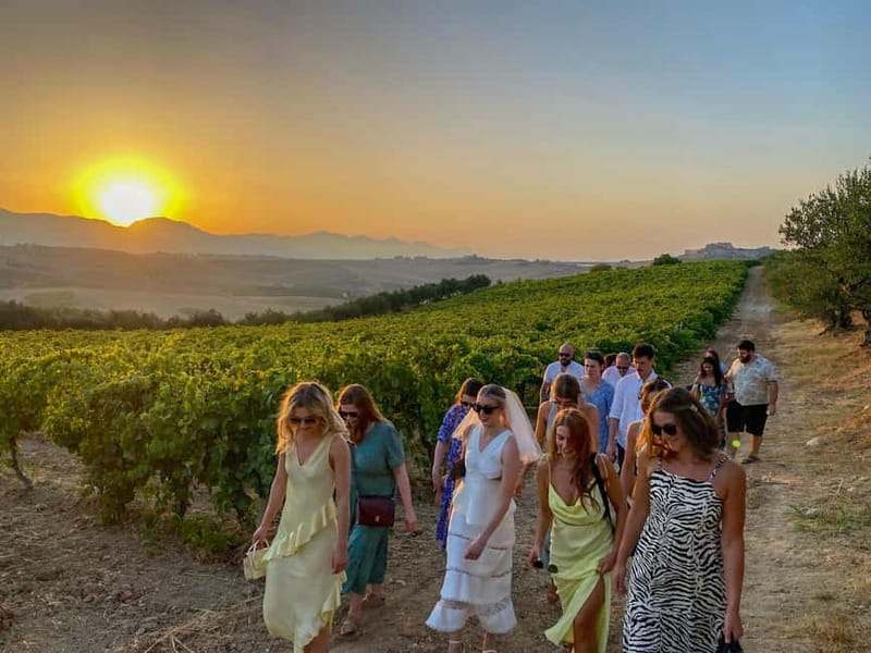Alcamo: Natural Wine & Olive Oil Tasting - Sicily - Walking through the vines and learning the farm cycle