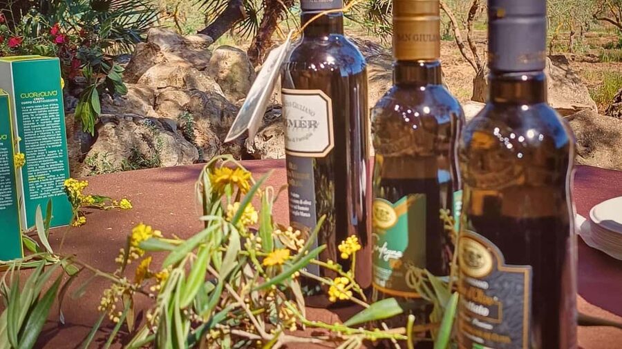 Alghero: Olive Grove Visit with Olive Oil Tasting - Key points to know before you go