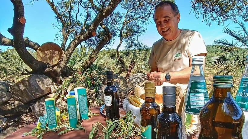 Alghero: Olive Grove Visit with Olive Oil Tasting - The panoramic tasting and how to taste oil