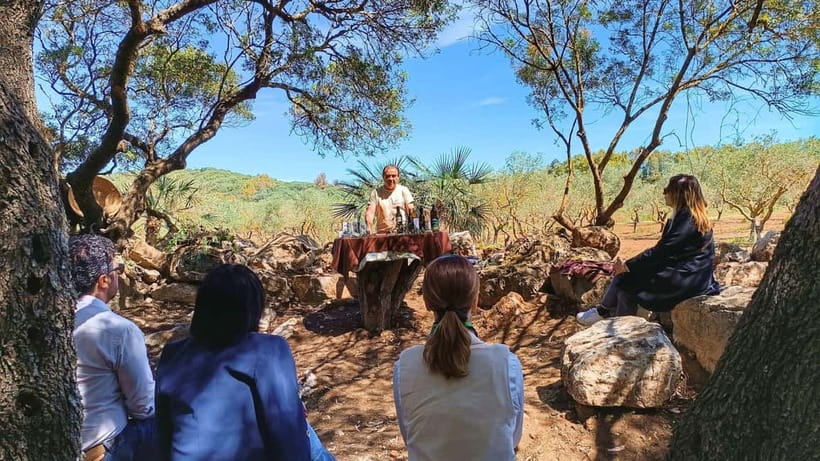 Alghero: Olive Grove Visit with Olive Oil Tasting - Booking, cancellation, and arrival tips