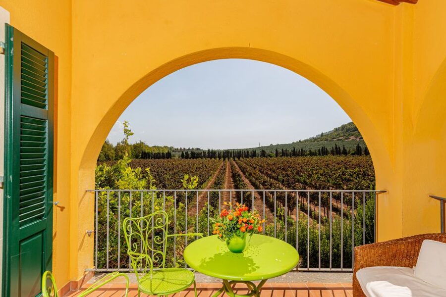 Alghero: Wine and Olive Oil Tasting at a Local Farm - Why this small farm makes a good Alghero side trip
