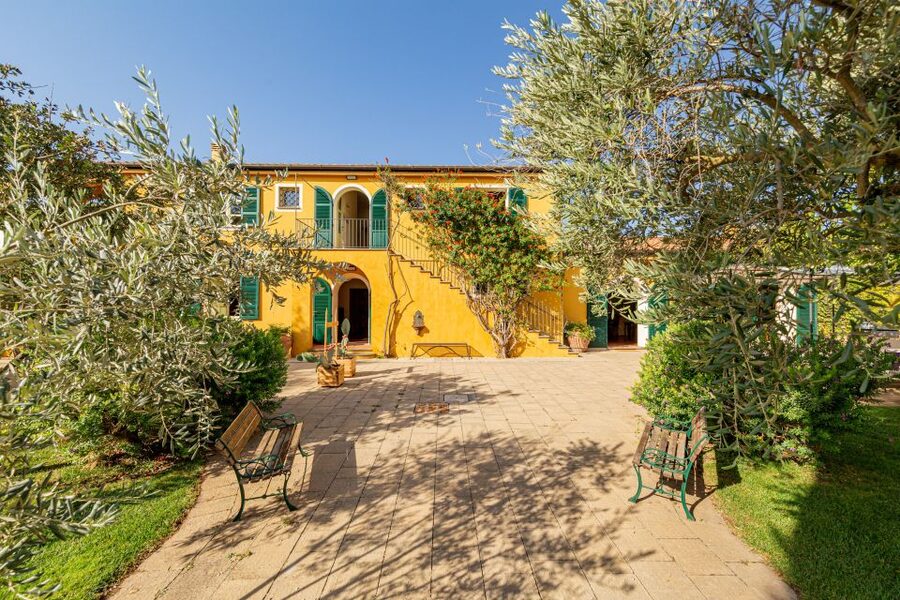 Alghero: Wine and Olive Oil Tasting at a Local Farm - A farm story told through wine and olive trees
