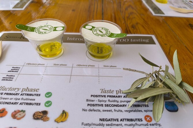 Alicante Olive Oil Tour - Is $193.49 a fair price?