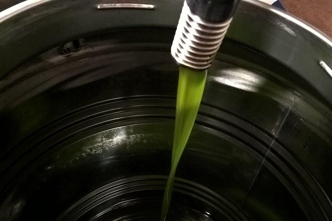 Apprentice Olive Oil taster for a day! - Arriving at Tili Vini outside Assisi