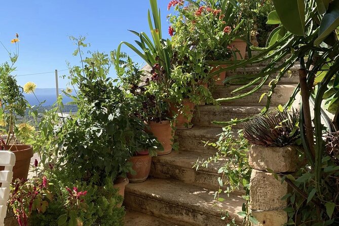 Argostoli & Beyond: Villages, Olive Oil & Honey Tasting - St. George’s Castle and the old village of Kastro