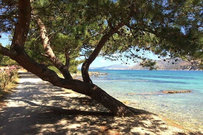 Argostoli & Beyond: Villages, Olive Oil & Honey Tasting - Koutavos Lagoon closes the loop