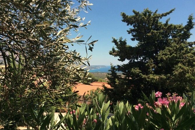 Argostoli & Beyond: Villages, Olive Oil & Honey Tasting - The Saint Theodoroi Lighthouse and coastal views
