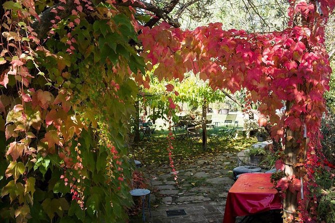 Assisi, Deruta & organic gourmet lunch at the olive oil farmhouse from SIENA - Deruta’s painted majolica tradition