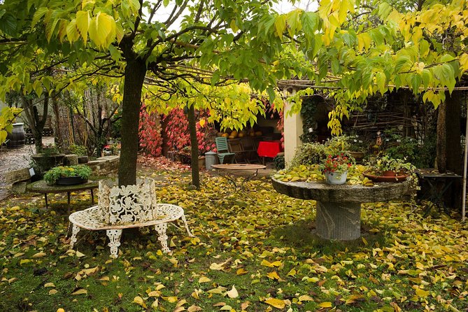 Assisi, Deruta & organic gourmet lunch at the olive oil farmhouse from SIENA - The driver can make or break the day