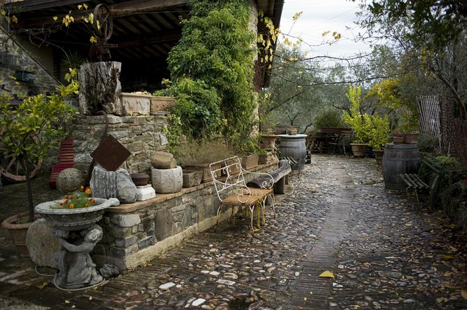 Assisi, Deruta & organic gourmet lunch at the olive oil farmhouse from SIENA - Timing, fitness, and practical limits