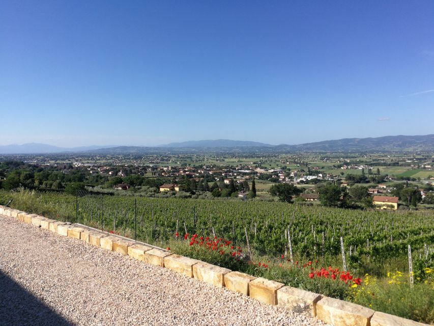 Assisi: Organic Balsamic Vinegar, Olive Oil & Wine Tour - Leaving Assisi for the Tili family property