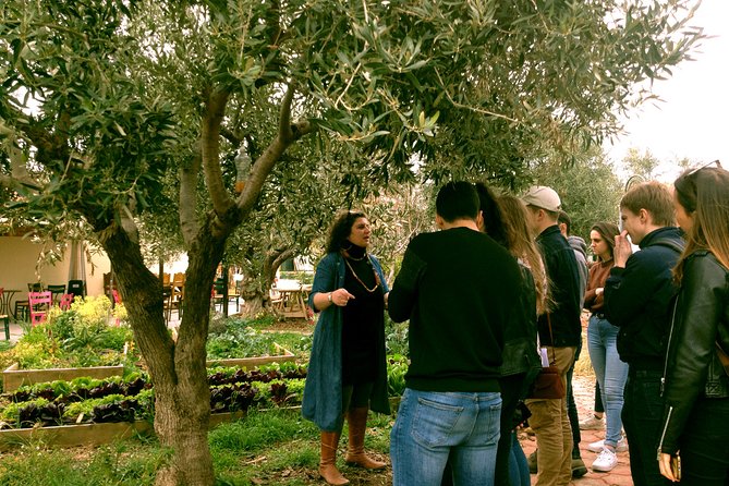 ATHENS OLIVE ESTATE - Olive Oil Workshop with Farm-to-Fork Lunch - Price, timing, and practical value