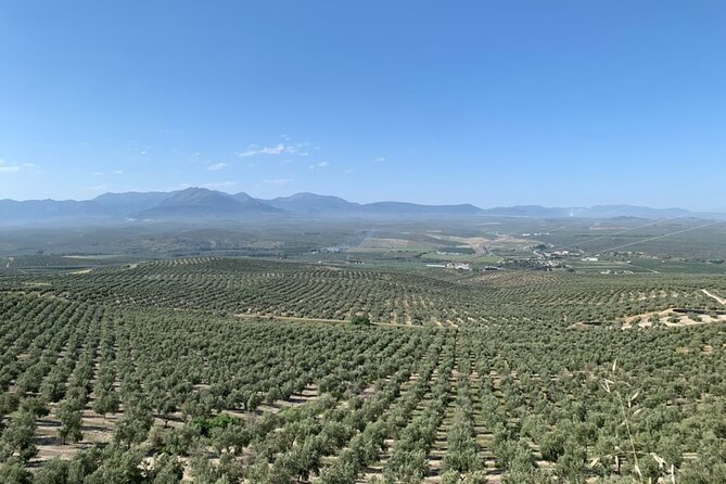Authentic Olive Oil Tasting in Cordoba, Spain - Who will enjoy this Cordoba tasting most