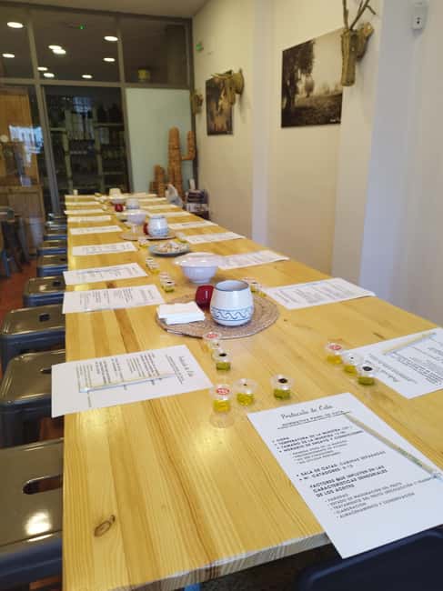 Baeza: Olive Oil Tasting Experience - The opening lesson: trees, plantations, and production