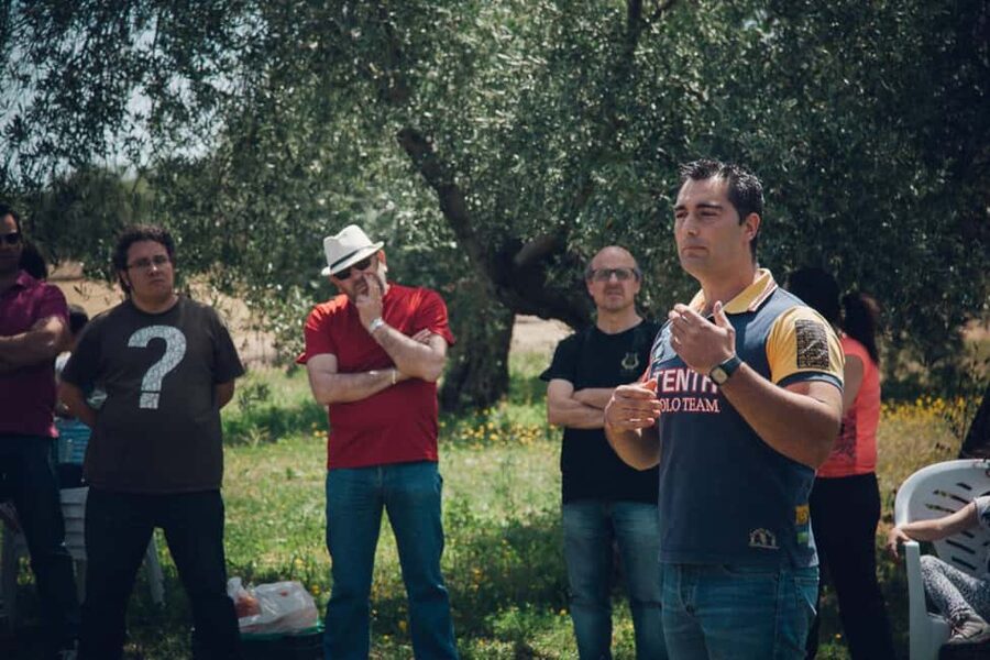 Baeza: Visit to an Organic Olive Grove + Oil Tasting - Key points at a glance
