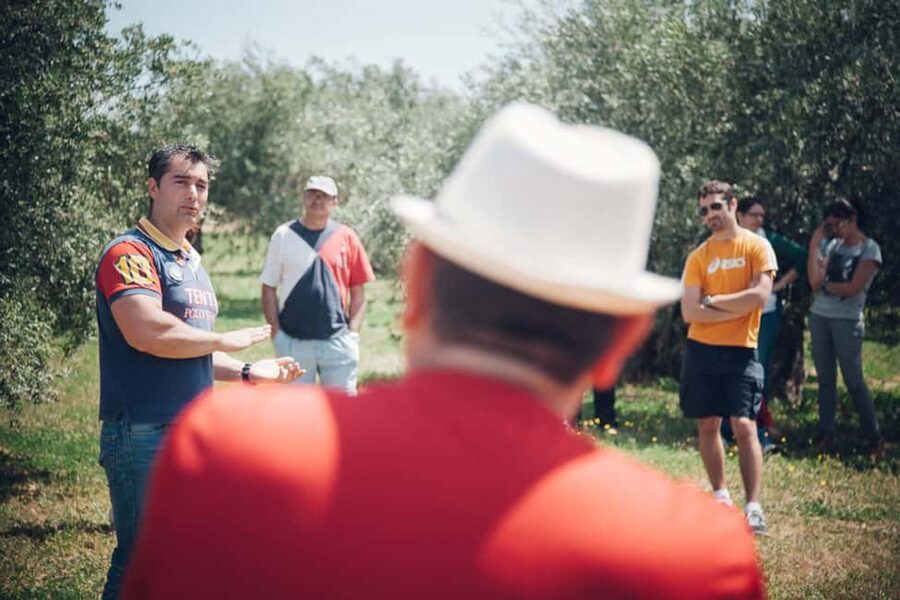 Baeza: Visit to an Organic Olive Grove + Oil Tasting - Tasting organic extra virgin olive oil beside the trees