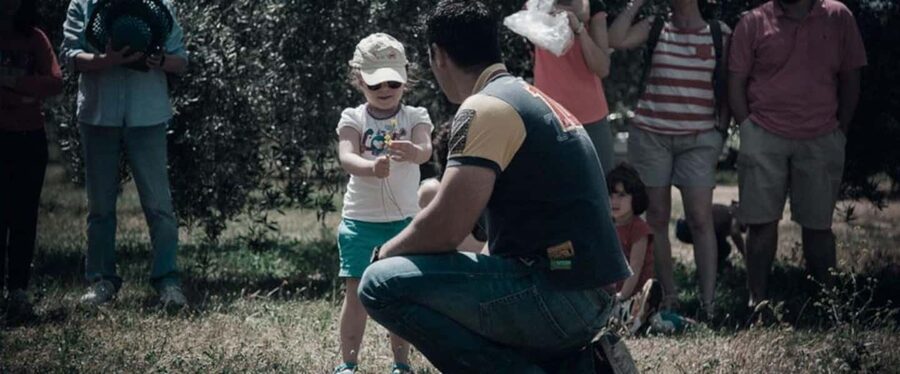 Baeza: Visit to an Organic Olive Grove + Oil Tasting - Timing, language, and practical details