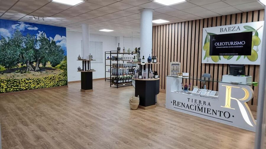 Baeza: Visit to an Organic Olive Grove + Oil Tasting - Meeting at Tierra de Renacimiento in Baeza