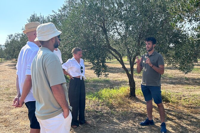 Balestrate Olive Grove Tour: Wine and Olive Oil Tasting - Walking through the olive grove with Francesco
