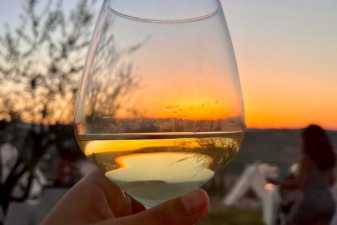 Balestrate Olive Grove Tour: Wine and Olive Oil Tasting - Why the two-hour format works