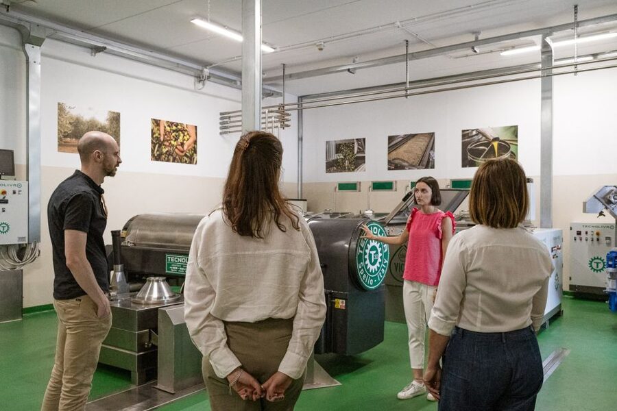 Bardolino: Lake Garda Oil Mill Tour with Olive Oil Tasting - Who will enjoy this experience most?