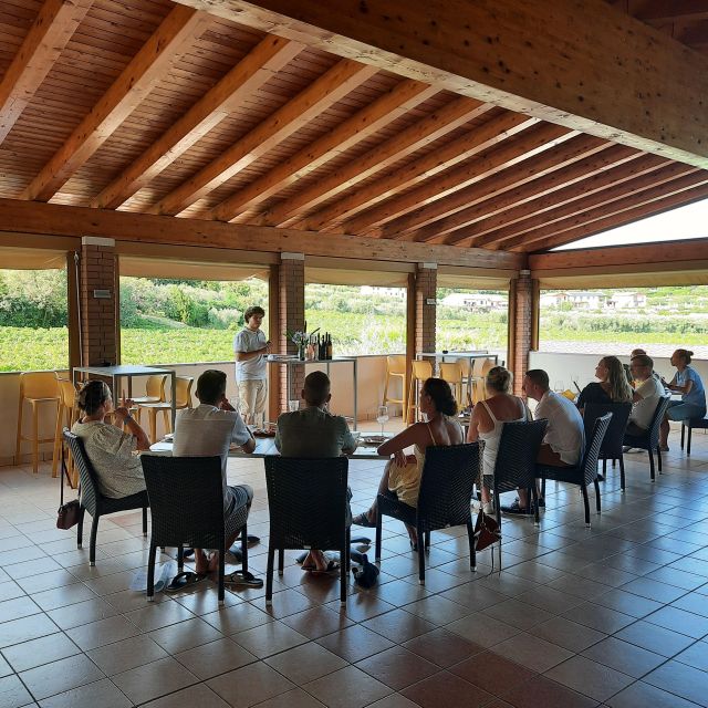 Bardolino: Vineyard Tour with Wine, Olive Oil & Food Tasting - Key points to know before booking
