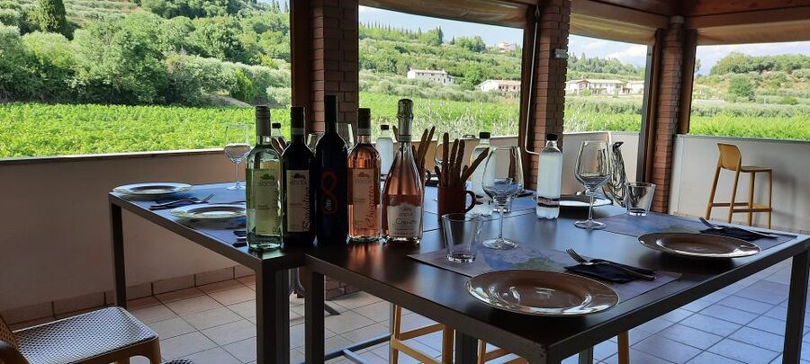 Bardolino: Vineyard Tour with Wine, Olive Oil & Food Tasting - Reaching the family winery above Bardolino