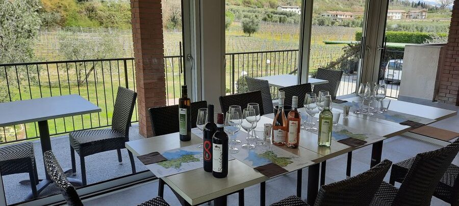 Bardolino: Vineyard Tour with Wine, Olive Oil & Food Tasting - Who will enjoy this two-hour experience?