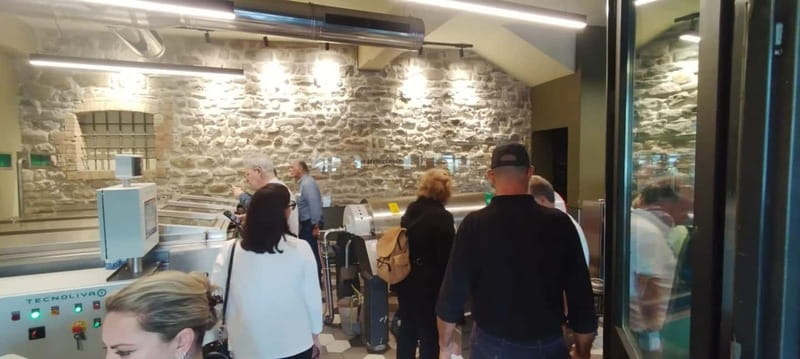 Bevagna: Olive Oil Mill Tour with Guided Tasting - Key Points to Know Before You Go