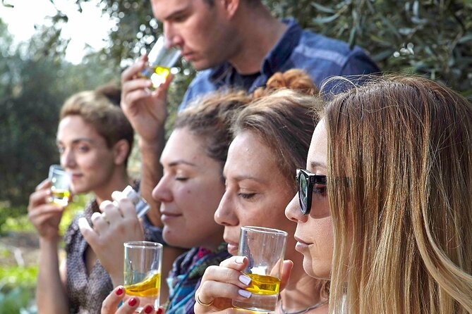 Bio Farm Private Olive Oil Tasting, Farm to Fork Meal & Temple of Poseidon Tour - Four details that shape the experience