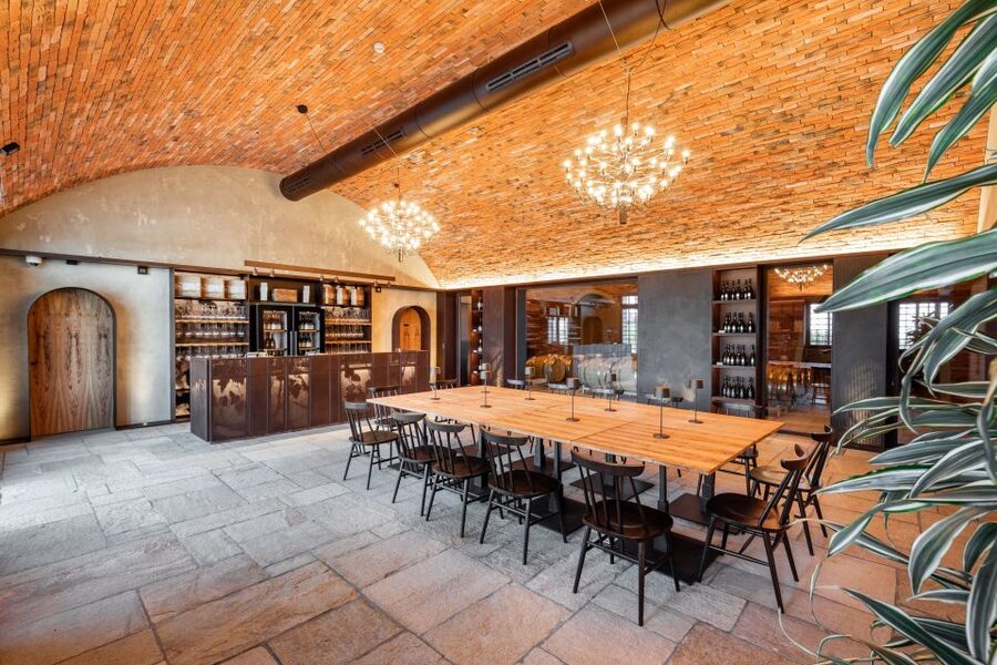 Bologna: Olive Grove and Vineyard Tour with Product Tastings - Learning to taste wine and olive oil