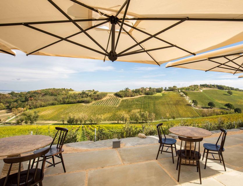 Bologna: Olive Grove and Vineyard Tour with Product Tastings - Is $20 a good price?