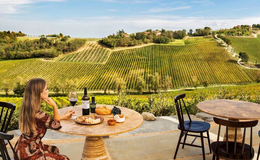 Bologna: Olive Grove and Vineyard Tour with Product Tastings - Who will enjoy this Varignana tasting most